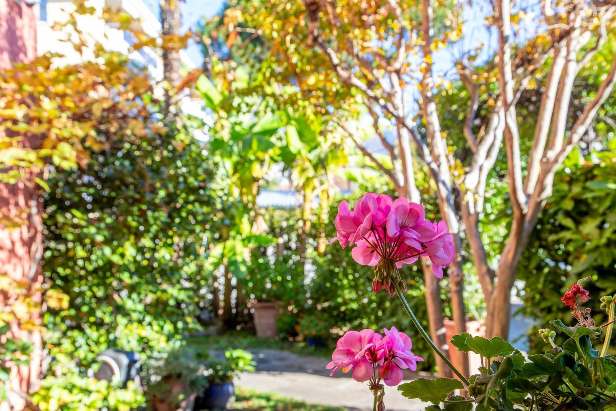 Hotel Garni Dei Fiori Ascona Kültér fotó